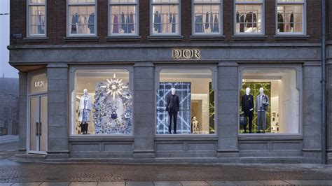 dior online nederland|dior online boutique.